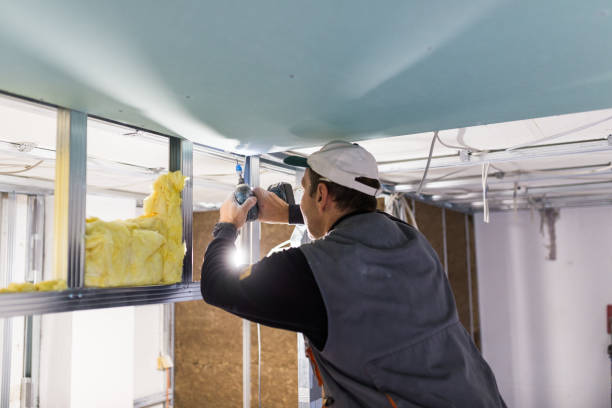Best Insulation Maintenance and Repair in Paulding, OH